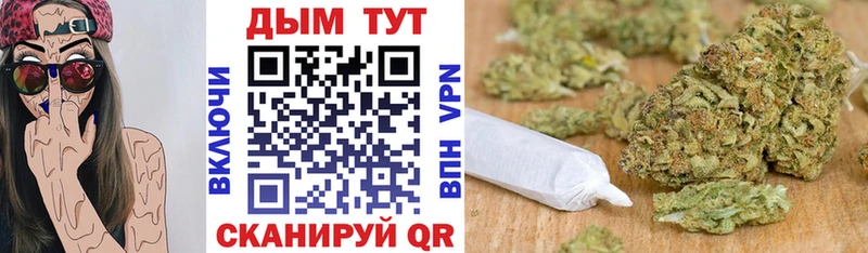 Бошки Шишки марихуана  Нижнекамск 
